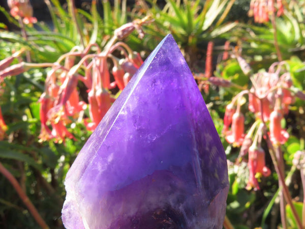 Polished/Natural Chevron Amethyst Witches Hat Crystals x 6 From Zambia - TopRock