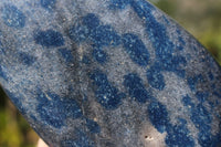 Polished Small Blue Spinel Quartz Standing Leaf Sculptures x 2 From Madagascar - TopRock