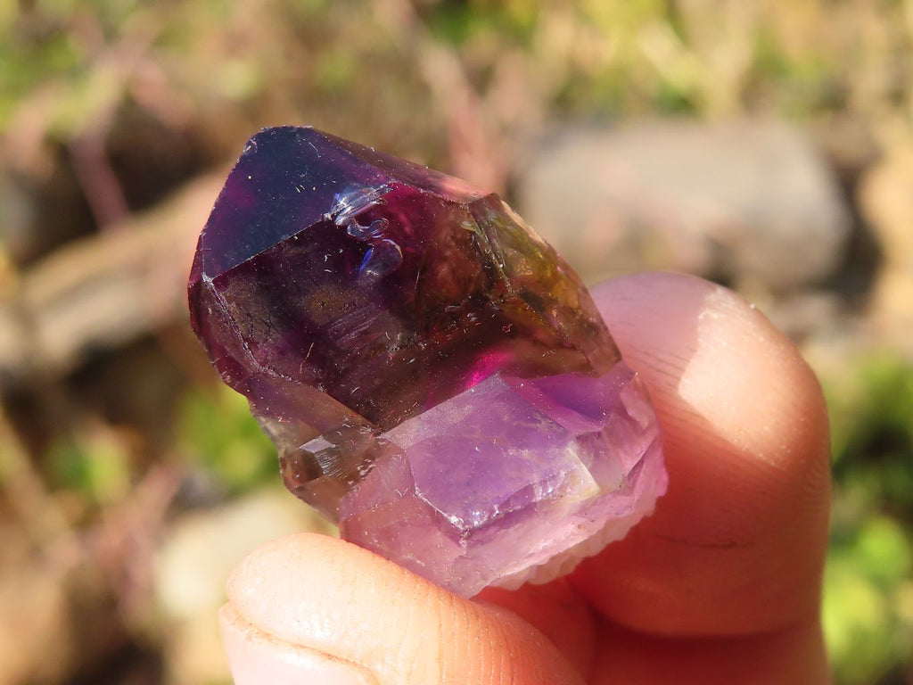 Natural Window Amethyst Crystals  x 70 From Chiredzi, Zimbabwe - Toprock Gemstones and Minerals 
