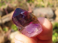Natural Window Amethyst Crystals  x 70 From Chiredzi, Zimbabwe - Toprock Gemstones and Minerals 