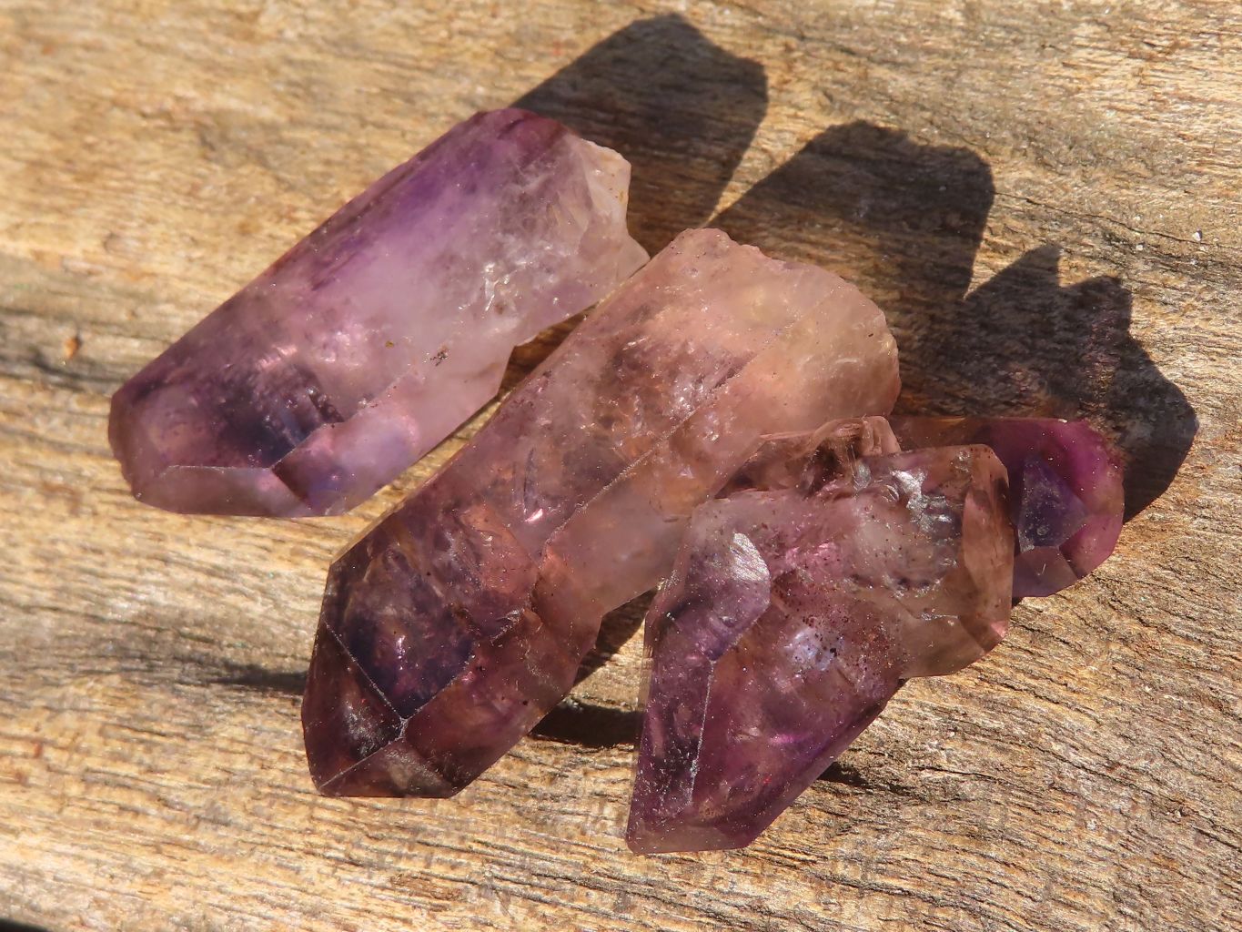 Natural Window Amethyst Crystals  x 70 From Chiredzi, Zimbabwe - Toprock Gemstones and Minerals 