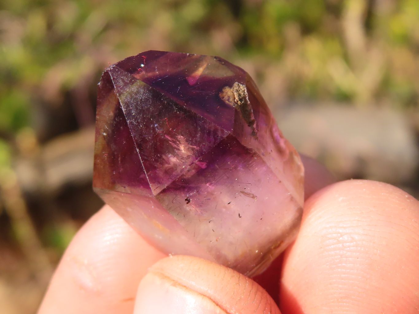 Natural Window Amethyst Crystals  x 70 From Chiredzi, Zimbabwe - Toprock Gemstones and Minerals 