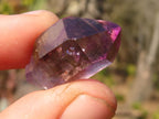Natural Window Amethyst Crystals  x 70 From Chiredzi, Zimbabwe - Toprock Gemstones and Minerals 