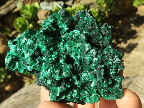 Natural Chatoyant Silky Malachite Specimens  x 12 From Kasompe, Congo - Toprock Gemstones and Minerals 