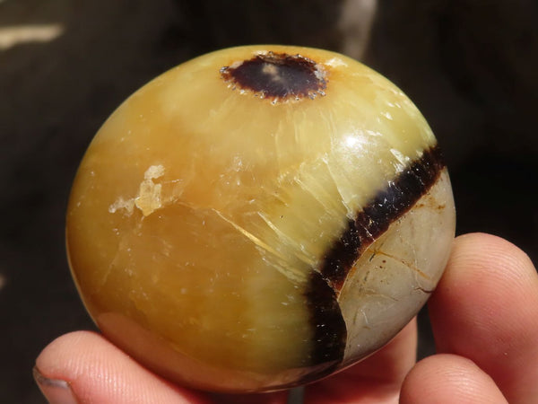 Polished Septerye (Calcite & Aragonite) Palm Stones  x 12 From Mahajanga, Madagascar - Toprock Gemstones and Minerals 