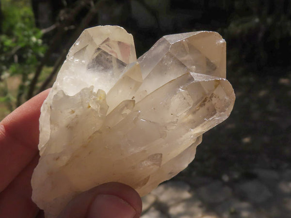 Natural Single Smokey Quartz Crystals  x 24 From Zambia