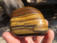Polished Golden Tigers Eye Free Forms x 3 From Prieska, Northern Cape