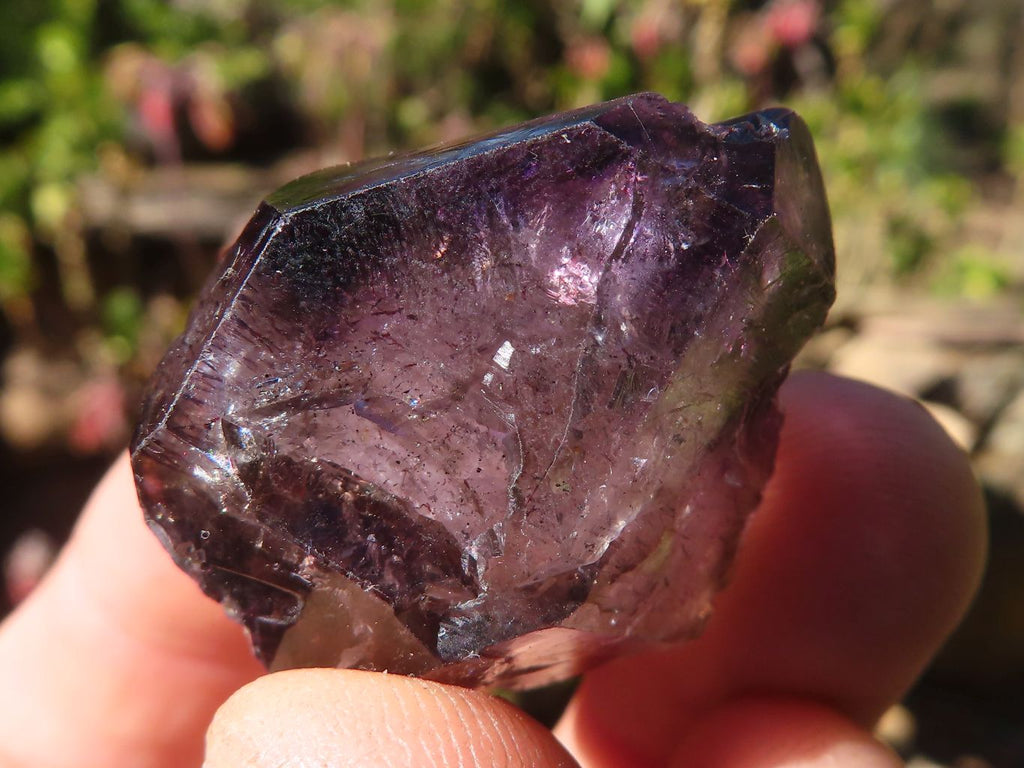 Natural Smokey Amethyst Crystals  x 12 From Chiredzi, Zimbabwe - Toprock Gemstones and Minerals 