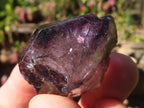 Natural Smokey Amethyst Crystals  x 12 From Chiredzi, Zimbabwe - Toprock Gemstones and Minerals 