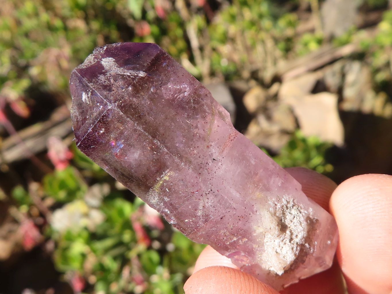 Natural Smokey Amethyst Crystals  x 12 From Chiredzi, Zimbabwe - Toprock Gemstones and Minerals 