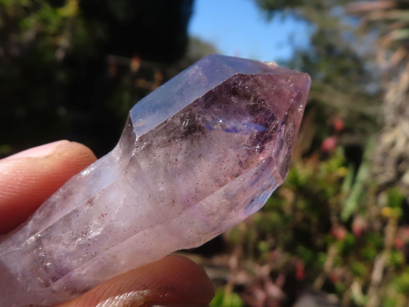 Natural Smokey Amethyst Crystals  x 12 From Chiredzi, Zimbabwe - Toprock Gemstones and Minerals 