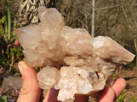 Natural Cascading Smokey Quartz Clusters x 2 From Luena, Congo - Toprock Gemstones and Minerals 