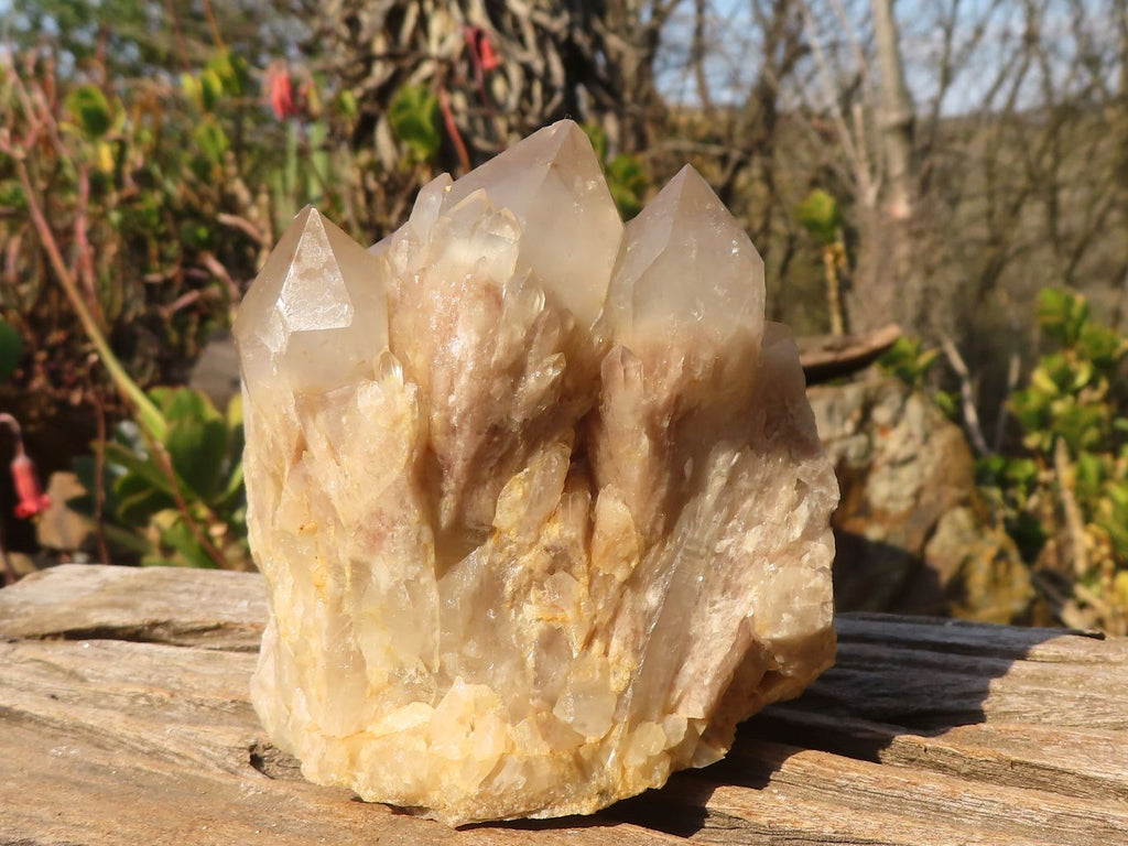 Natural Cascading Smokey Quartz Clusters x 2 From Luena, Congo - Toprock Gemstones and Minerals 
