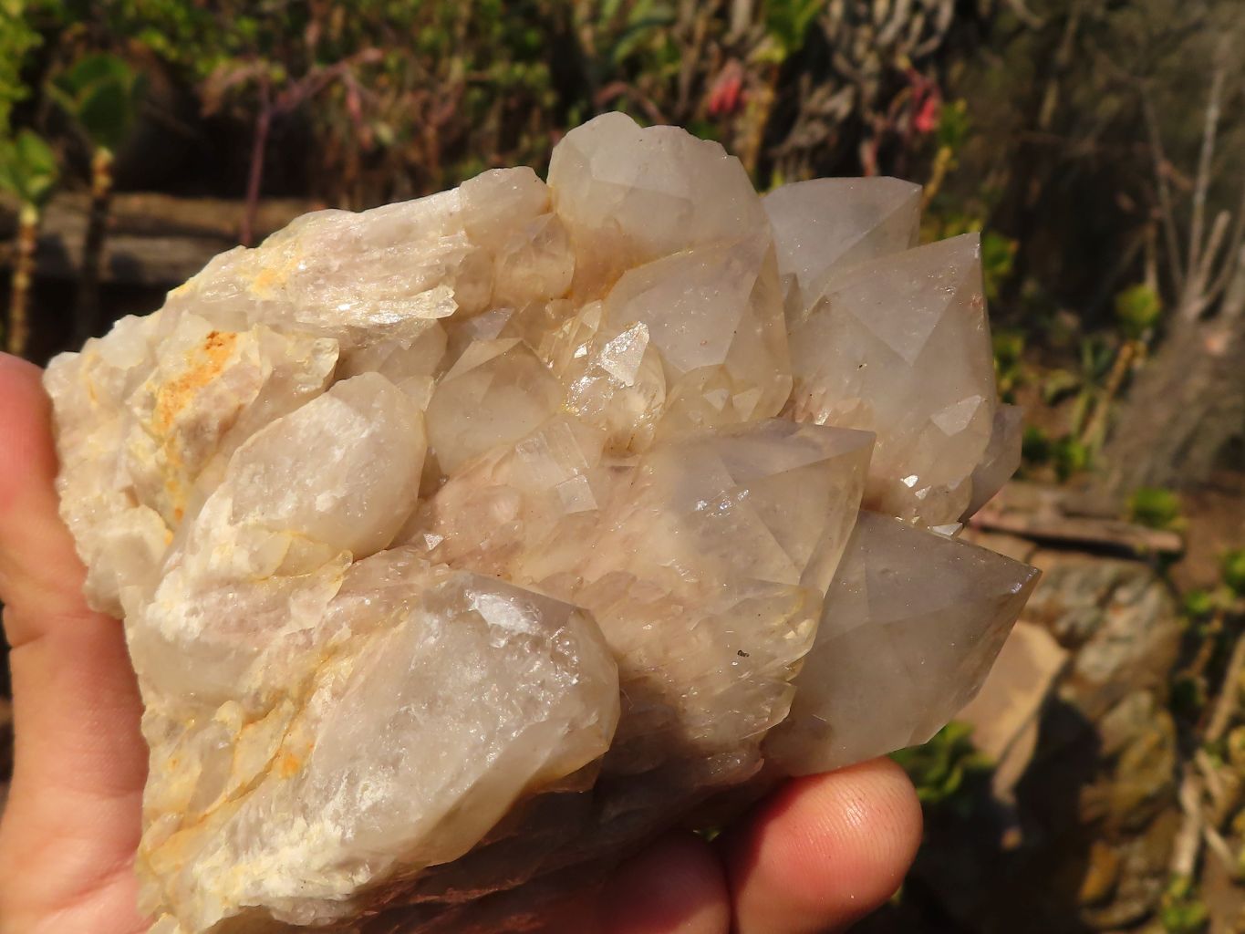 Natural Cascading Smokey Quartz Clusters x 2 From Luena, Congo - Toprock Gemstones and Minerals 