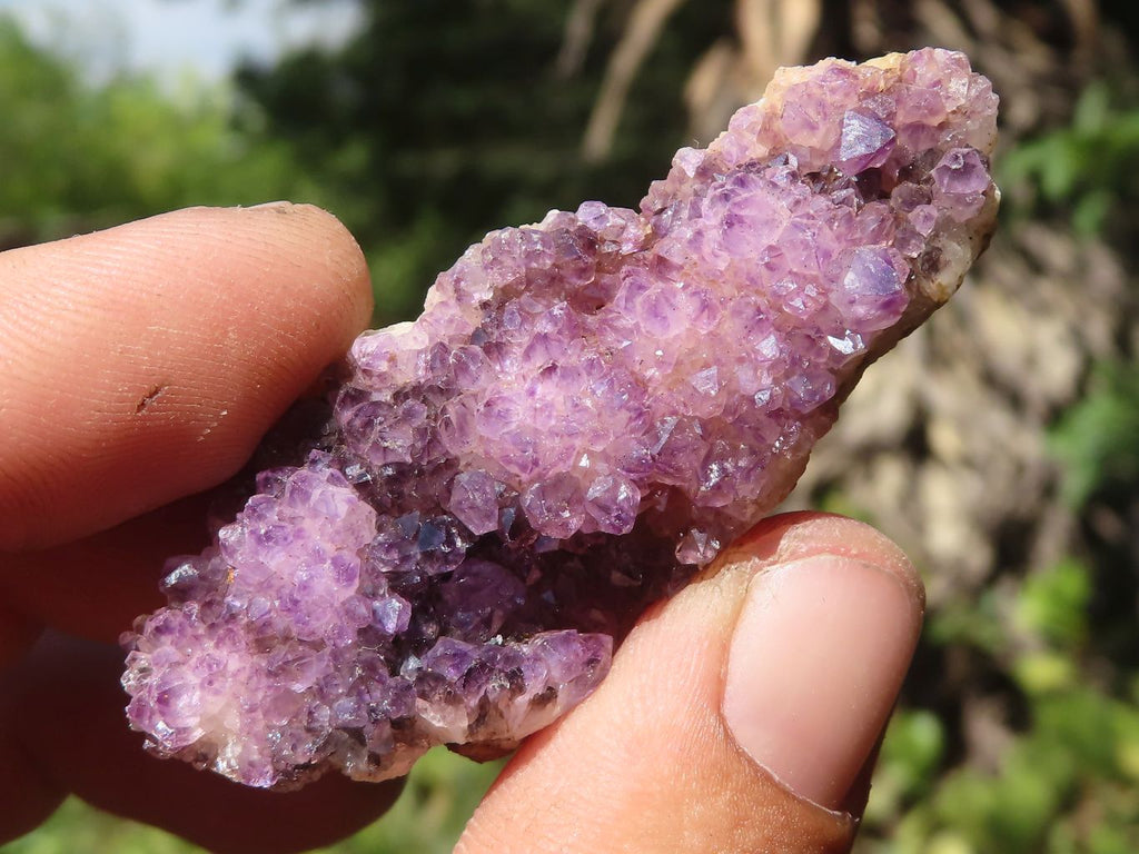 Natural Small Dark "Amethystos" Amethyst Clusters  x 63 From Kwaggafontein, South Africa - TopRock