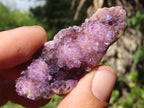 Natural Small Dark "Amethystos" Amethyst Clusters  x 63 From Kwaggafontein, South Africa - TopRock