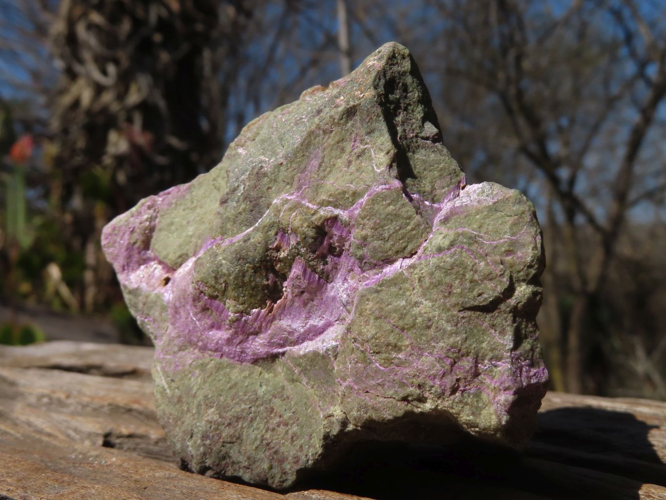 Natural Rough Stichtite & Serpentine Specimens x 13 From Barberton, South Africa - Toprock Gemstones and Minerals 