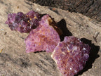 Natural Small Dark "Amethystos" Amethyst Clusters  x 63 From Kwaggafontein, South Africa - TopRock