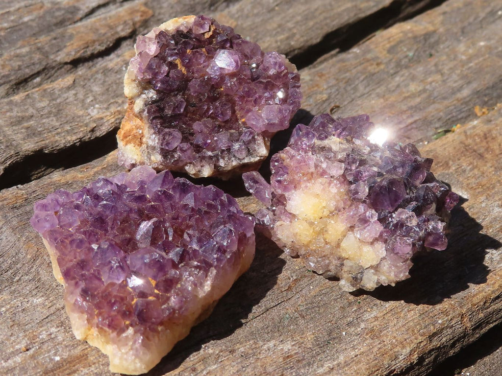 Natural Small Dark "Amethystos" Amethyst Clusters  x 63 From Kwaggafontein, South Africa - TopRock