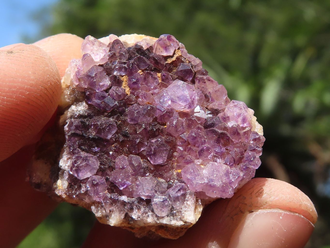 Natural Small Dark "Amethystos" Amethyst Clusters  x 63 From Kwaggafontein, South Africa - TopRock