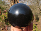 Polished Black Basalt Spheres x 2 From Madagascar - Toprock Gemstones and Minerals 
