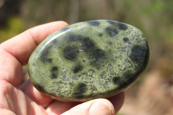 Polished Green Leopard Stone Free Forms x 6 From Zimbabwe
