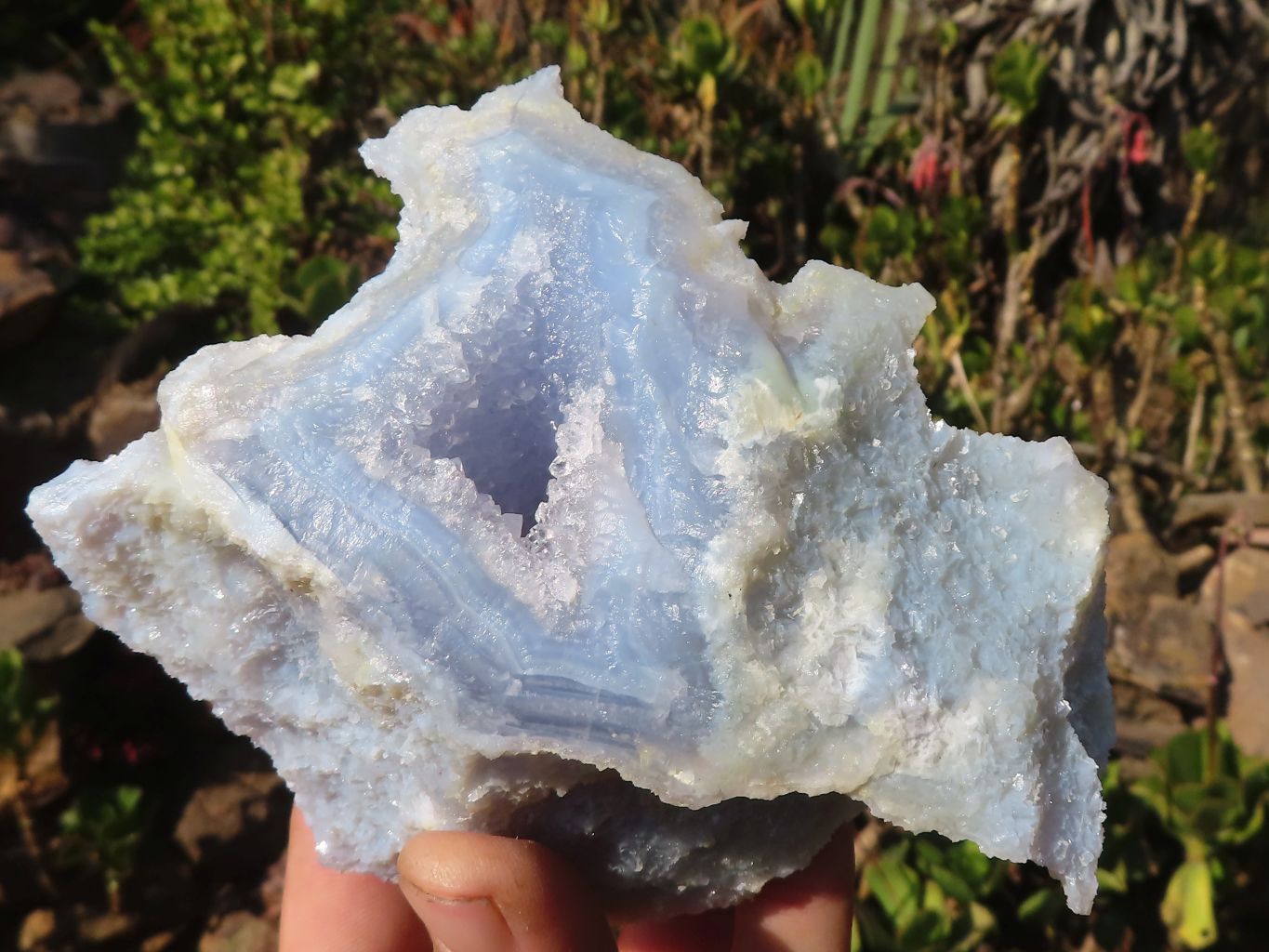 Natural Etched Blue Chalcedony Specimens  x 3 From Nsanje, Malawi - Toprock Gemstones and Minerals 