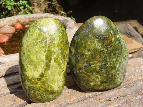 Polished Green Opal Standing Free Forms  x 2 From Antsirabe, Madagascar - Toprock Gemstones and Minerals 