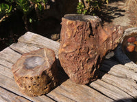 Polished Petrified Wood Branch Pieces x 2 From Gokwe, Zimbabwe - Toprock Gemstones and Minerals 