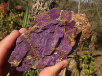 Natural Metallic Purpurite Cobbed Specimens x 6 From Erongo, Namibia - Toprock Gemstones and Minerals 
