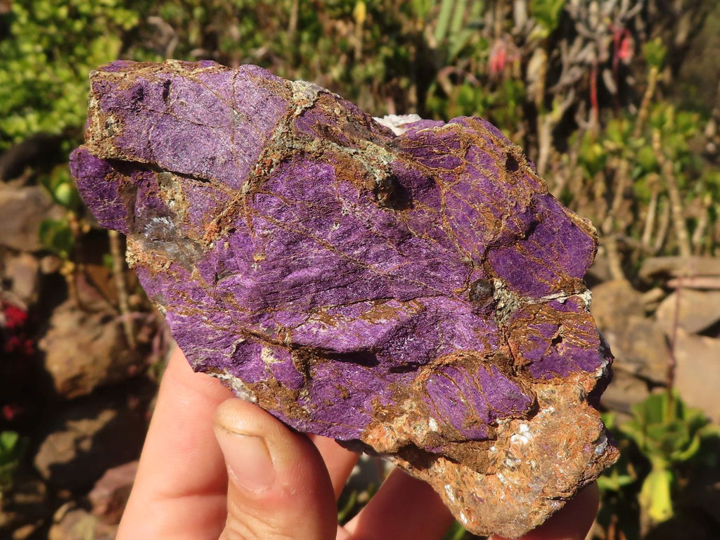Natural Metallic Purpurite Cobbed Specimens x 6 From Erongo, Namibia - Toprock Gemstones and Minerals 