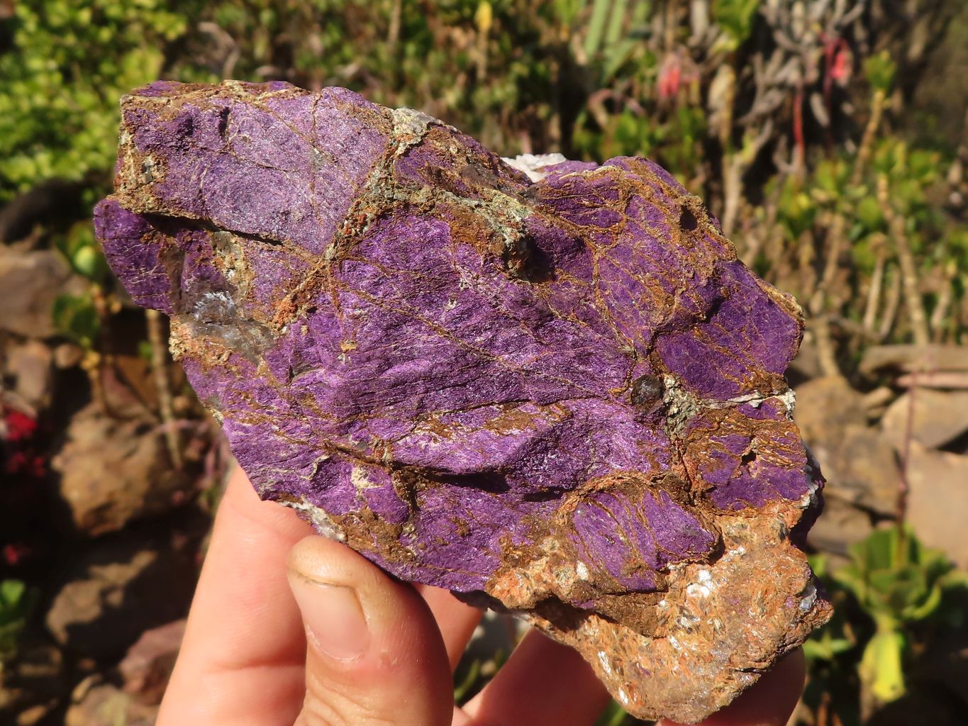 Natural Metallic Purpurite Cobbed Specimens x 6 From Erongo, Namibia - Toprock Gemstones and Minerals 