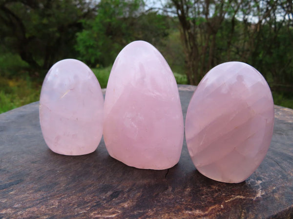 Polished Rose Quartz Standing Free Forms x 6 From Antsirabe, Madagascar - TopRock