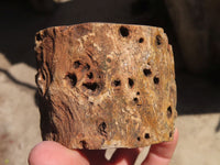Polished Petrified Wood Branch Pieces x 2 From Gokwe, Zimbabwe - Toprock Gemstones and Minerals 