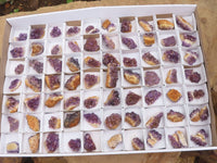 Natural Small Dark "Amethystos" Amethyst Clusters x 80 From Kwaggafontein, South Africa - TopRock
