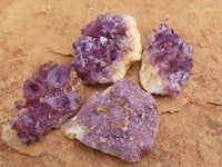 Natural Small Dark "Amethystos" Amethyst Clusters x 80 From Kwaggafontein, South Africa - TopRock