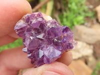 Natural Small Dark "Amethystos" Amethyst Clusters x 80 From Kwaggafontein, South Africa - TopRock