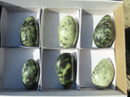 Polished Leopard Stone Free Forms  x 6 From Inyanga, Zimbabwe - Toprock Gemstones and Minerals 