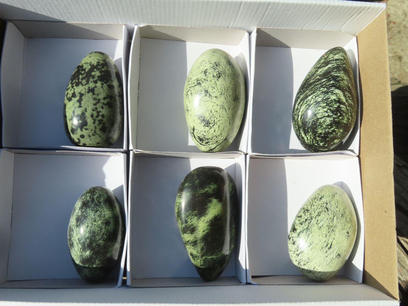 Polished Leopard Stone Free Forms  x 6 From Inyanga, Zimbabwe - Toprock Gemstones and Minerals 