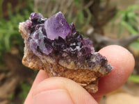 Natural Small Dark "Amethystos" Amethyst Clusters x 80 From Kwaggafontein, South Africa - TopRock