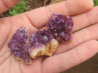 Natural Small Dark "Amethystos" Amethyst Clusters x 80 From Kwaggafontein, South Africa - TopRock