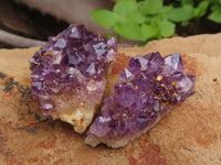 Natural Small Dark "Amethystos" Amethyst Clusters x 80 From Kwaggafontein, South Africa - TopRock