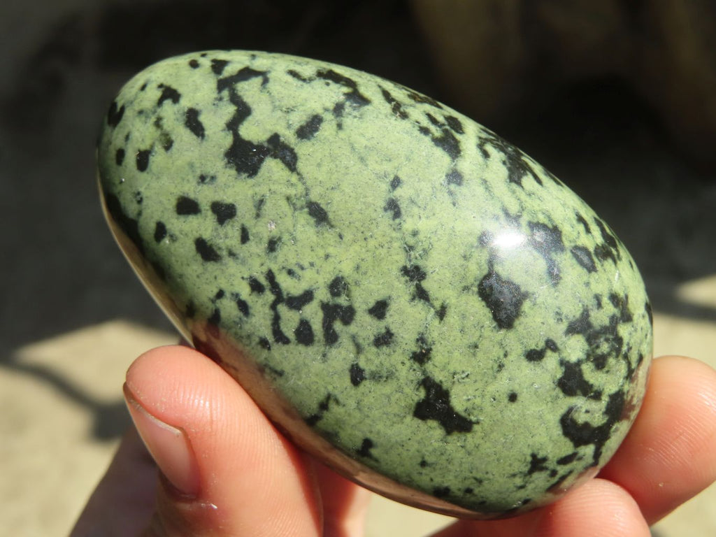 Polished Leopard Stone Free Forms  x 6 From Inyanga, Zimbabwe - Toprock Gemstones and Minerals 