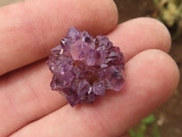 Natural Small Dark "Amethystos" Amethyst Clusters x 80 From Kwaggafontein, South Africa - TopRock