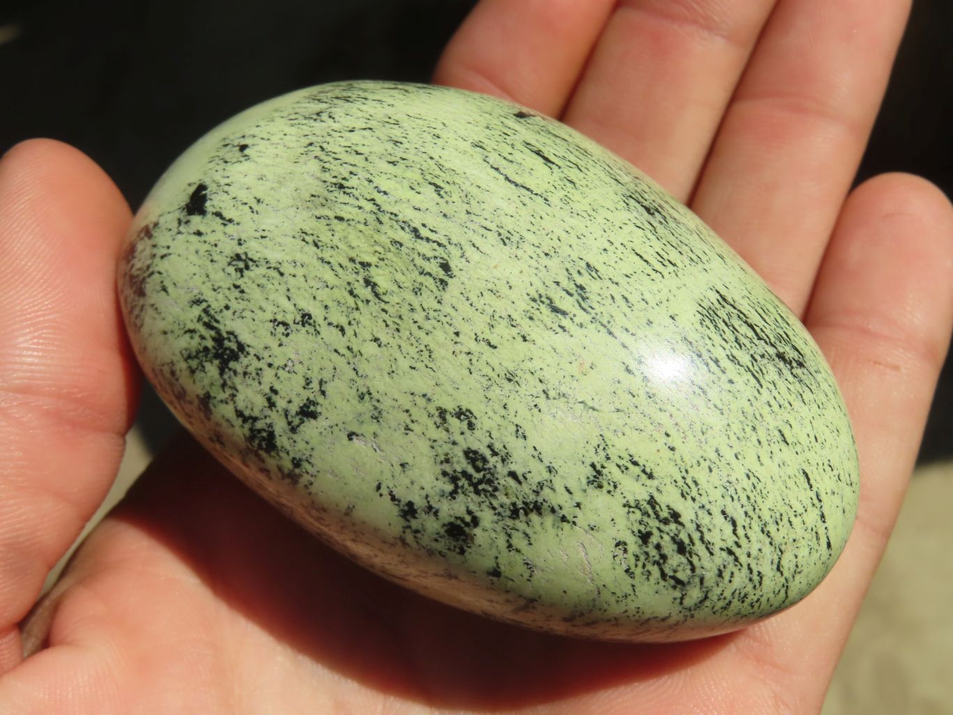 Polished Leopard Stone Free Forms  x 6 From Inyanga, Zimbabwe - Toprock Gemstones and Minerals 