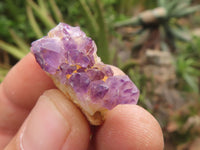 Natural Small Dark "Amethystos" Amethyst Clusters x 80 From Kwaggafontein, South Africa - TopRock