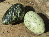 Polished Leopard Stone Free Forms  x 6 From Inyanga, Zimbabwe - Toprock Gemstones and Minerals 