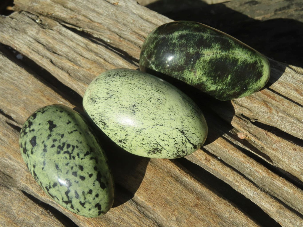 Polished Leopard Stone Free Forms  x 6 From Inyanga, Zimbabwe - Toprock Gemstones and Minerals 