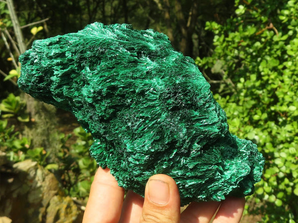 Natural Chatoyant Silky Malachite Specimens  x 2 From Kasompe, Congo - Toprock Gemstones and Minerals 
