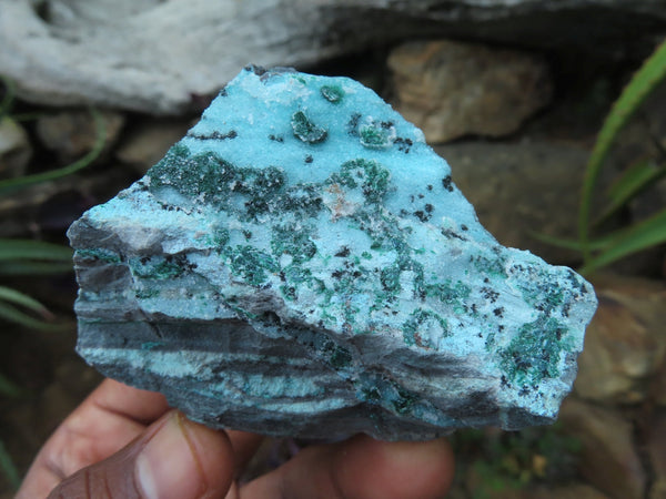 Natural Drusi Coated Chrysocolla Specimens With Malachite Crystals x 6 From Congo - TopRock